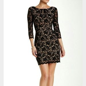 ABS Stretch Lace Dress